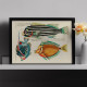 Illustrations colorées et surréalistes de poissons 7