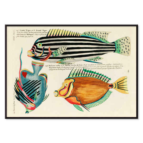 Illustrations colorées et surréalistes de poissons 7