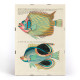 Illustrations colorées et surréalistes de poissons 8