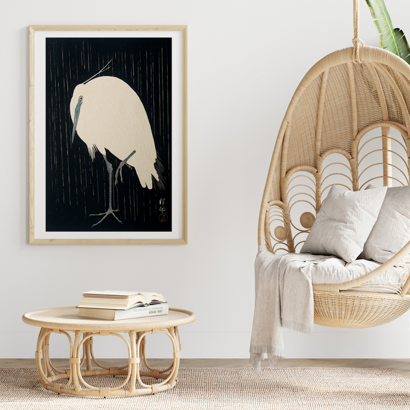 Aigrette Aigrette